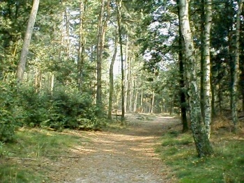 Landgoed Houdringe