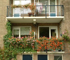 Wandeling Amsterdam - Sara Burgerhartstraat