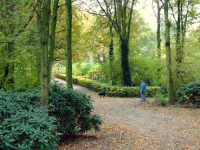 Wandeling Amsterdam - Erasmuspark