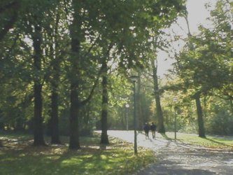 Wandeling Amsterdam - Rembrandtpark